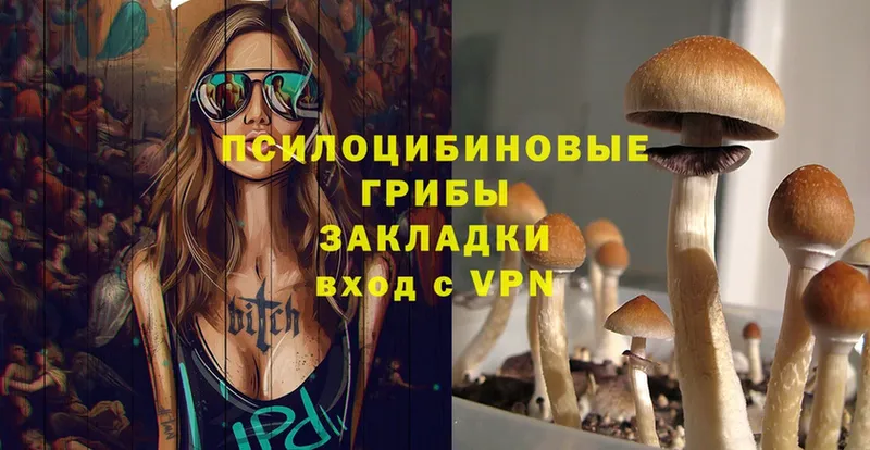 Галлюциногенные грибы Cubensis  MEGA tor  Шуя 